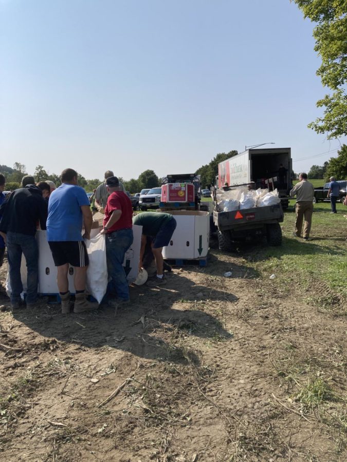 Volunteers loading potatoes to a food bank truck